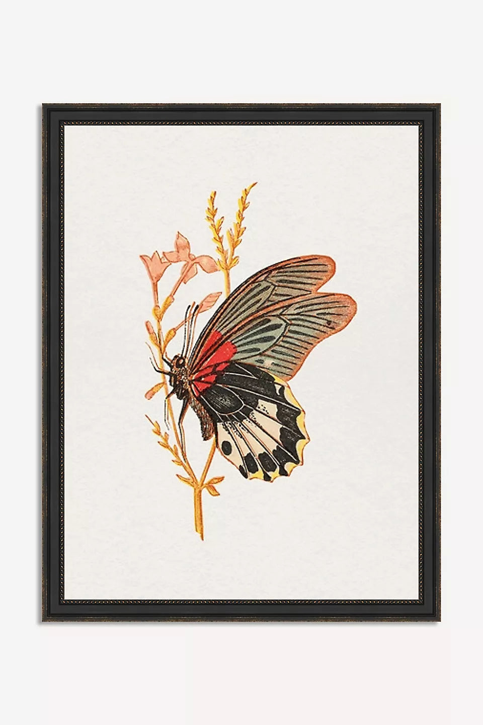 Bright Butterfly Wall Art