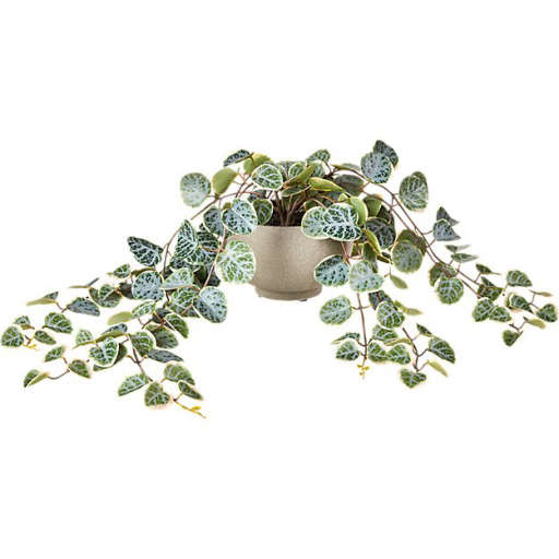Potted Faux Eucalyptus 8"
