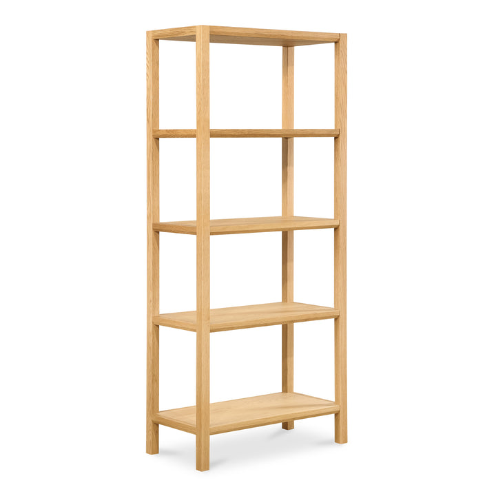 Divider-Shelf Harmony: Modern Room Dividers Bookcase