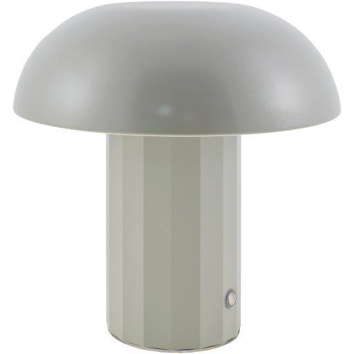 Traditionally Adorned Lamp
