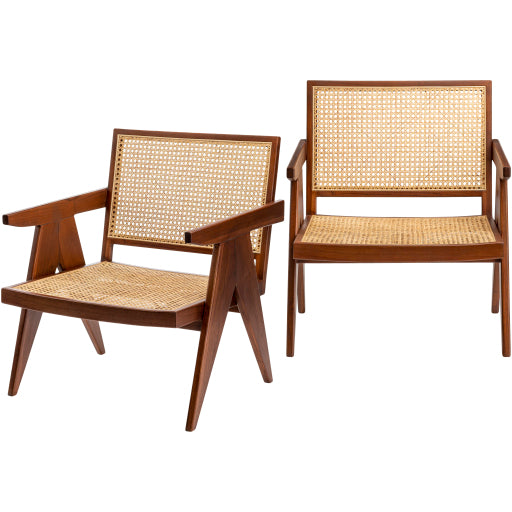 Exotic Modern Chair