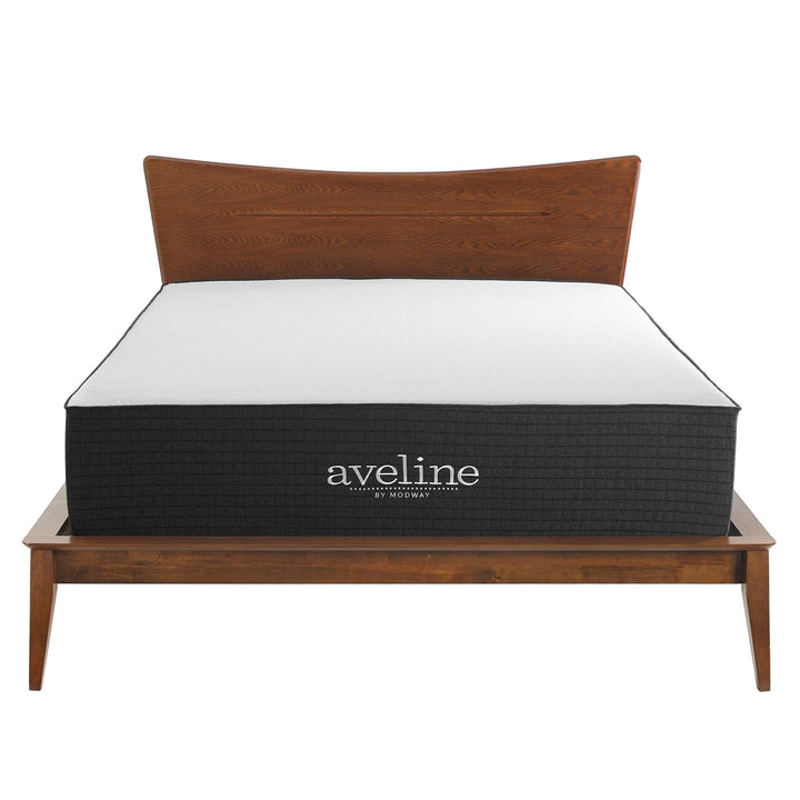 Aveline 14" Memory Foam Queen Mattress by Mocha