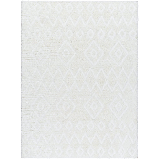 Nomadic Nexus Machine Woven Rug
