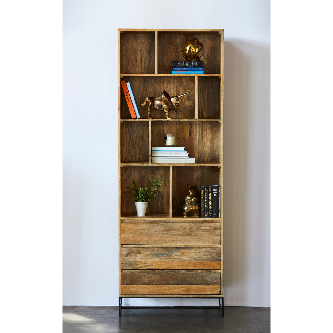 Modern Mango Wood Storage Unit
