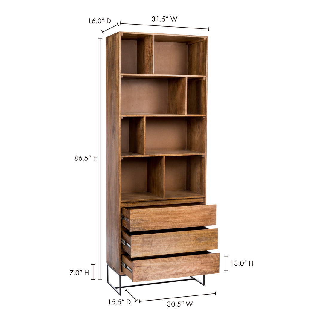 Modern Mango Wood Storage Unit