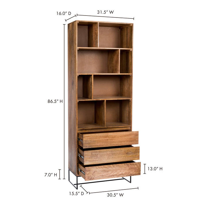 Modern Mango Wood Storage Unit