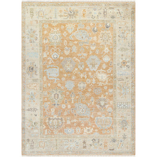 Antalya Artisan Tapestry Handcrafted Rug