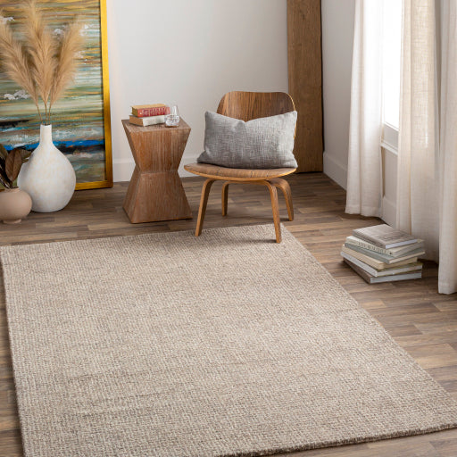 Aiden Artisan Woven Area Rug