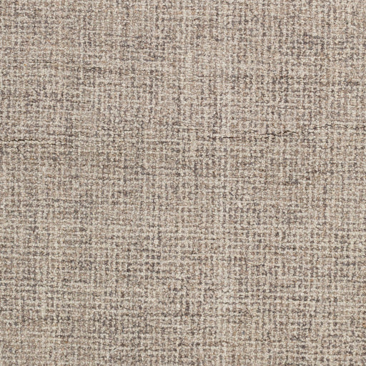 Aiden Artisan Woven Area Rug