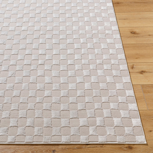 Alder Artisan Accent Rug