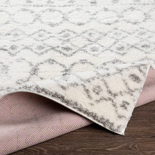 Aliyah Scroll ALH-2302 Machine Woven Rug
