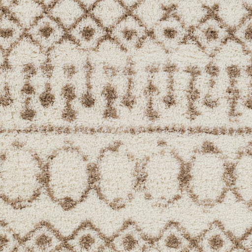 Aliyah Shag Artisan Accent Rug