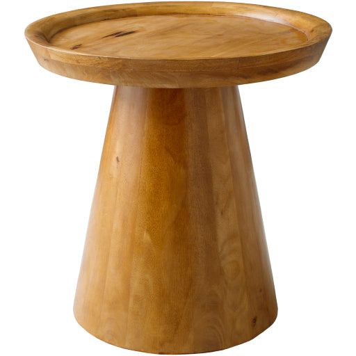 Stylish Mango Wood 20"H x 20"W x 20"D End Table