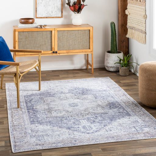 Amelie Artisan Accent Rug