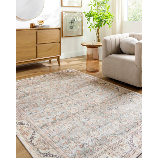 Amelie Artisan Area Rug