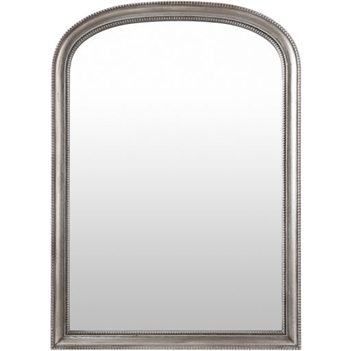 Nalanda Traditional Elegance 42"H x 30"W Mirror