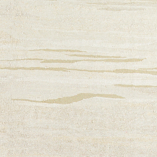 Antique One of a Kind Artisanal Aubusson Area Rug