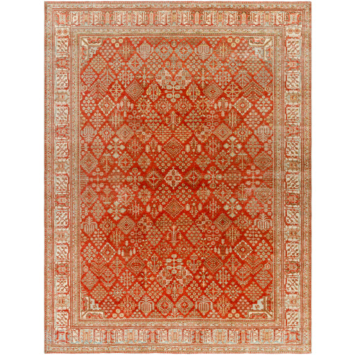 Antique One of a Kind Artisanal Aubusson Area Rug