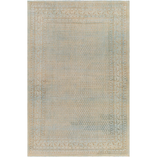 Antique One of a Kind Artisanal Aubusson Area Rug