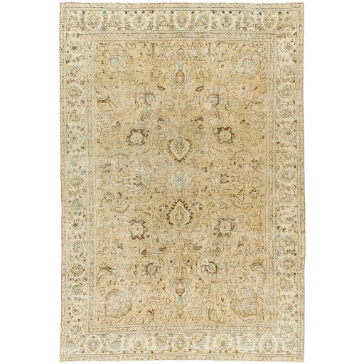 Antique One of a Kind Artisanal Aubusson Area Rug