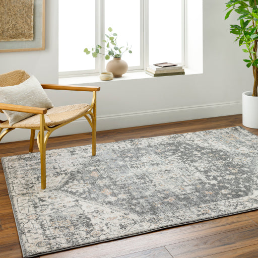 Alpharetta Artisan Abstract Rug
