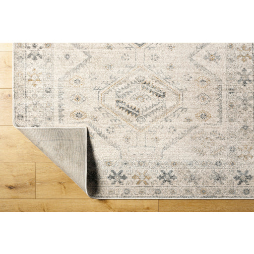 Alpharetta Artisan Abstract Machine Woven Rug