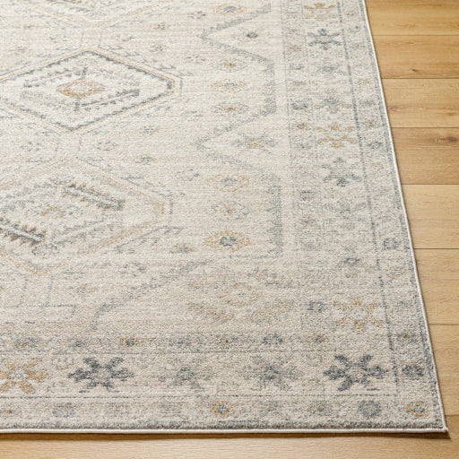 Alpharetta Artisan Abstract Machine Woven Rug