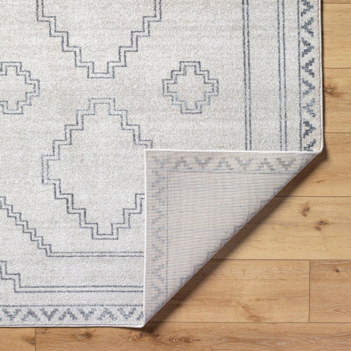 Alpharetta Arabesque Woven Rug