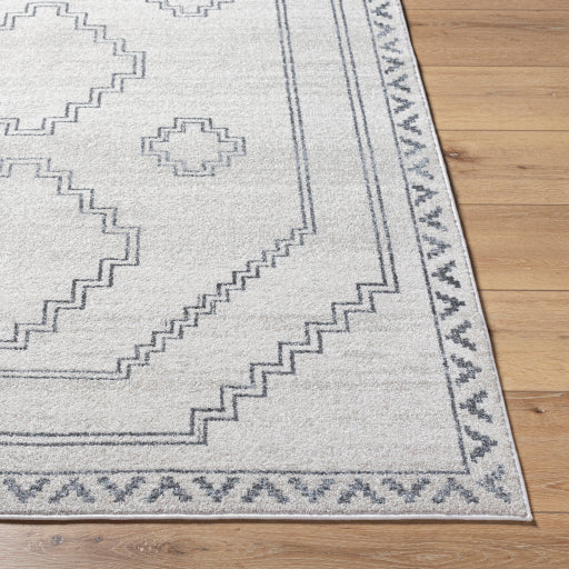 Alpharetta Arabesque Woven Rug