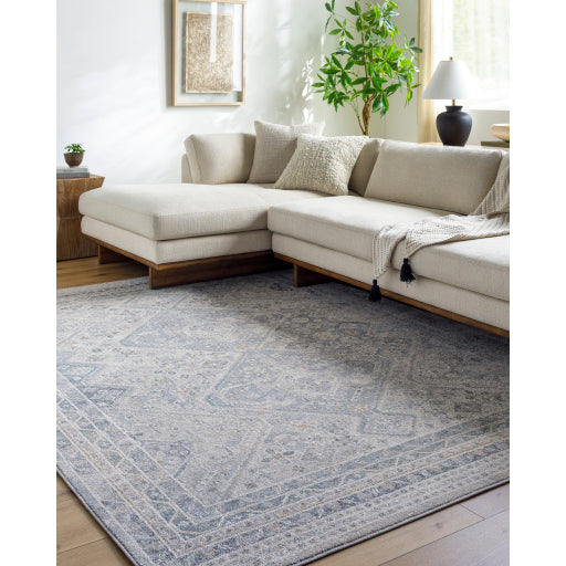 Alpharetta Abstract Artistry Machine Woven Rug