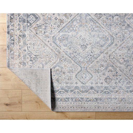 Alpharetta Abstract Artistry Machine Woven Rug