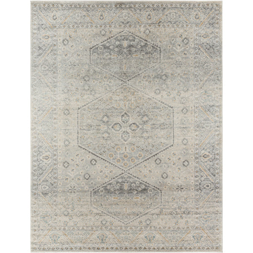 Alpharetta Artisan Abstract Rug