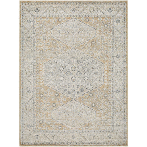 Alpharetta Artisan Accent Rug