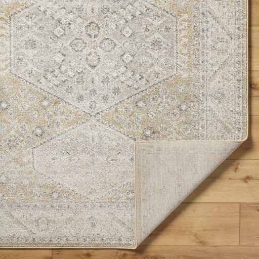 Alpharetta Artisan Accent Rug