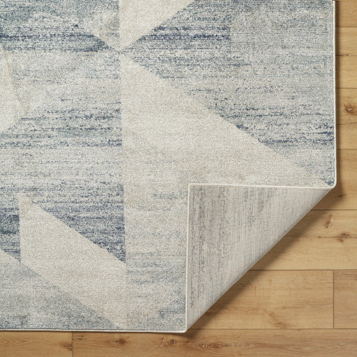 Alpharetta Artisan Woven Area Rug
