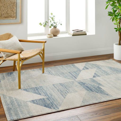 Alpharetta Artisan Woven Area Rug