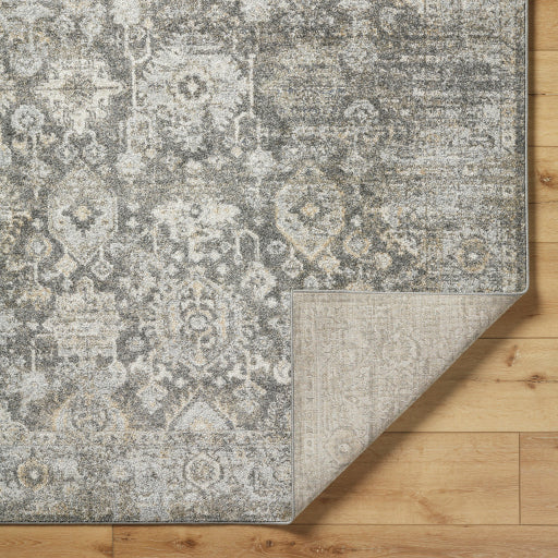 Alpharetta Artisan Machine Woven Rug