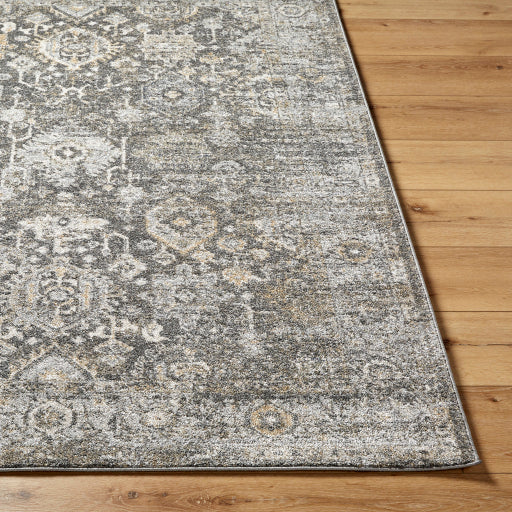 Alpharetta Artisan Machine Woven Rug