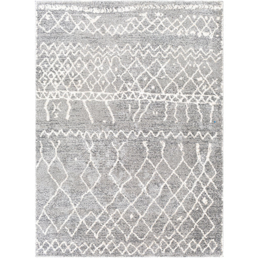 Andorra Artisan Tapestry Machine Woven Rug
