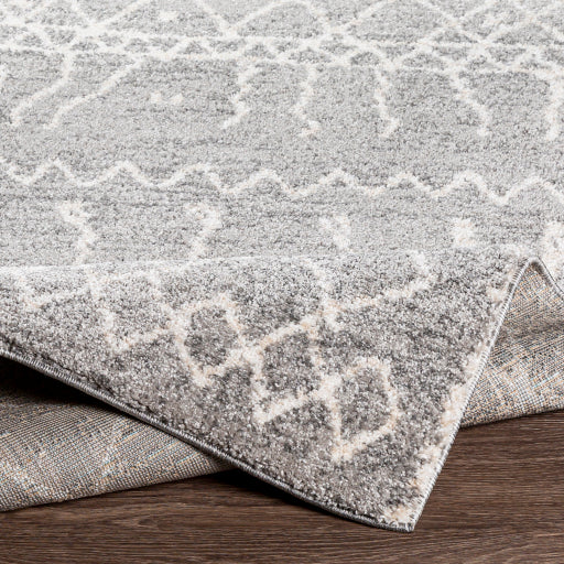 Andorra Artisan Tapestry Machine Woven Rug