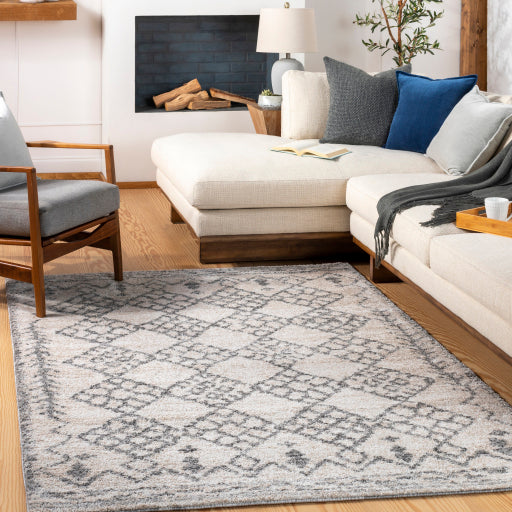 Andorra Artisan Adornment Machine Woven Rug