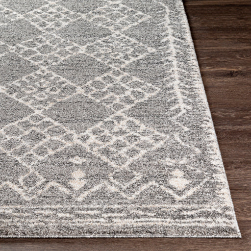 Andorra Artisan Tapestry Machine Woven Rug