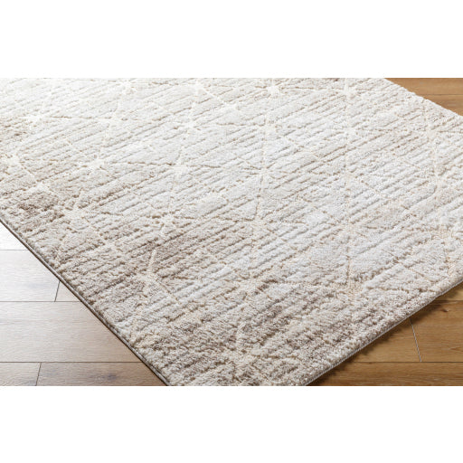 Andorra Artistry ARP Machine Woven Rug