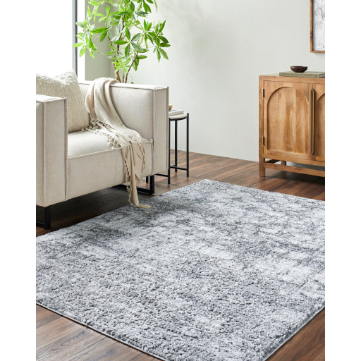 Andorra Persian ARP Patterned Accent Rug