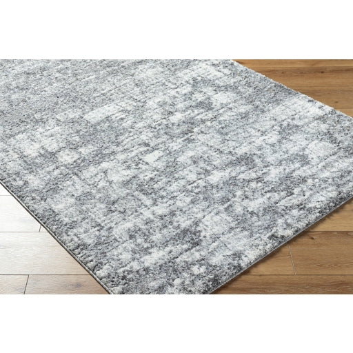 Andorra Persian ARP Patterned Accent Rug