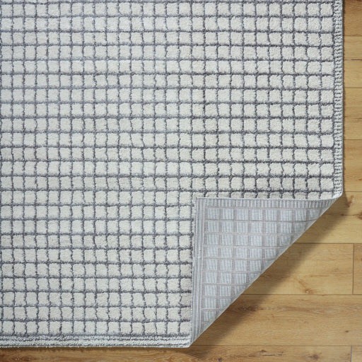 Andorra Apex ARP Woven Rug