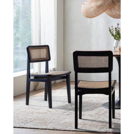Modern Teak & Rattan Chair