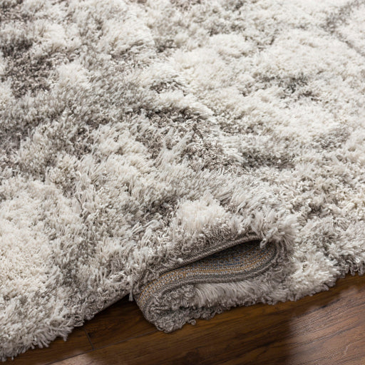 Alta Silhouette ASG Serenity Rug