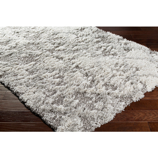 Alta Shimmer ASG-2305 Machine Woven Rug