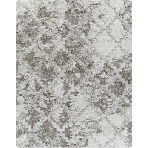 Alta Shimmer ASG-2305 Machine Woven Rug